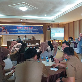 Provision of MSMEs assisted by the South Sumatra Provincial Trade Service